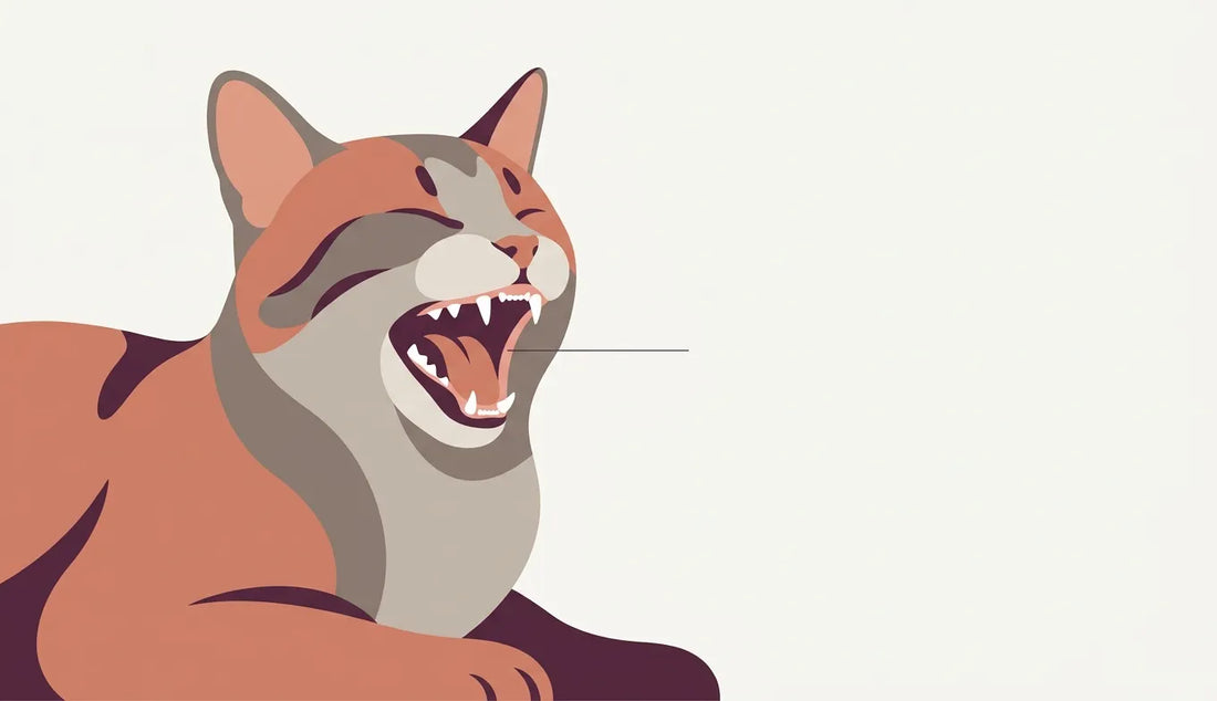 Cat dental health: why it matters and what to do