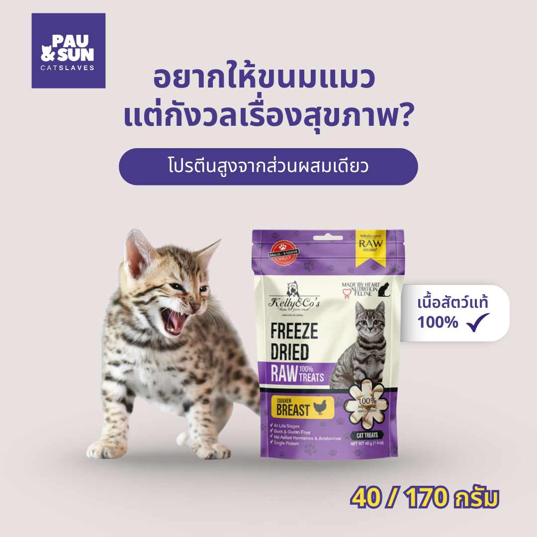 Kelly & Co freeze-dried raw cat treats — 100% single-ingredient meat, high protein, no additives, available in 40g and 170g | ขนมแมวฟรีซดราย เนื้อสัตว์แท้ 100% โปรตีนสูง ไม่มีสารเติมแต่ง
