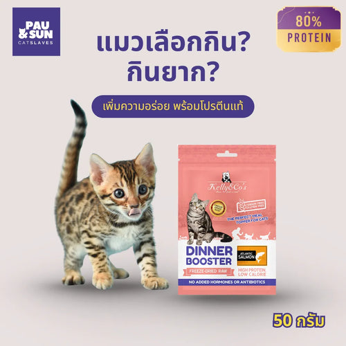 Bengal kitten beside Dinner Booster salmon pouch | ลูกแมวเบงกอลข้างซอง Dinner Booster รสแซลมอน