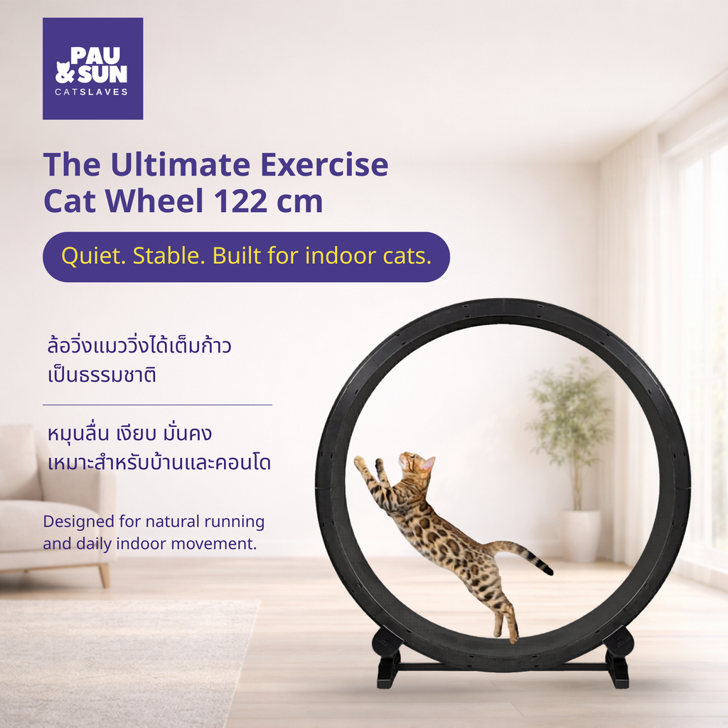 CatSlaves 122 cm exercise wheel for indoor cats — quiet, stable, designed for natural running in apartments and condos | วงล้อออกกำลังกายแมว CatSlaves 122 ซม. เงียบ มั่นคง เหมาะกับคอนโด