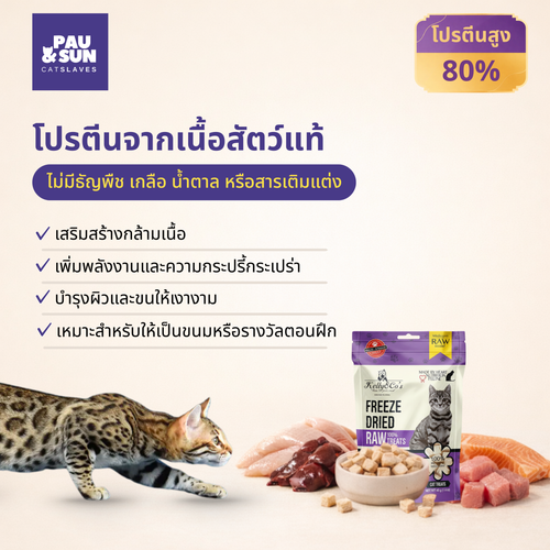 Kelly & Co freeze-dried raw treats 80% protein — real meat ingredients, no grain, no salt, no sugar, no additives, supports muscle, energy, and coat | โปรตีนสูงถึง 80% จากเนื้อสัตว์แท้ ไม่มีธัญพืช เกลือ น้ำตาล หรือสารเติมแต่ง
