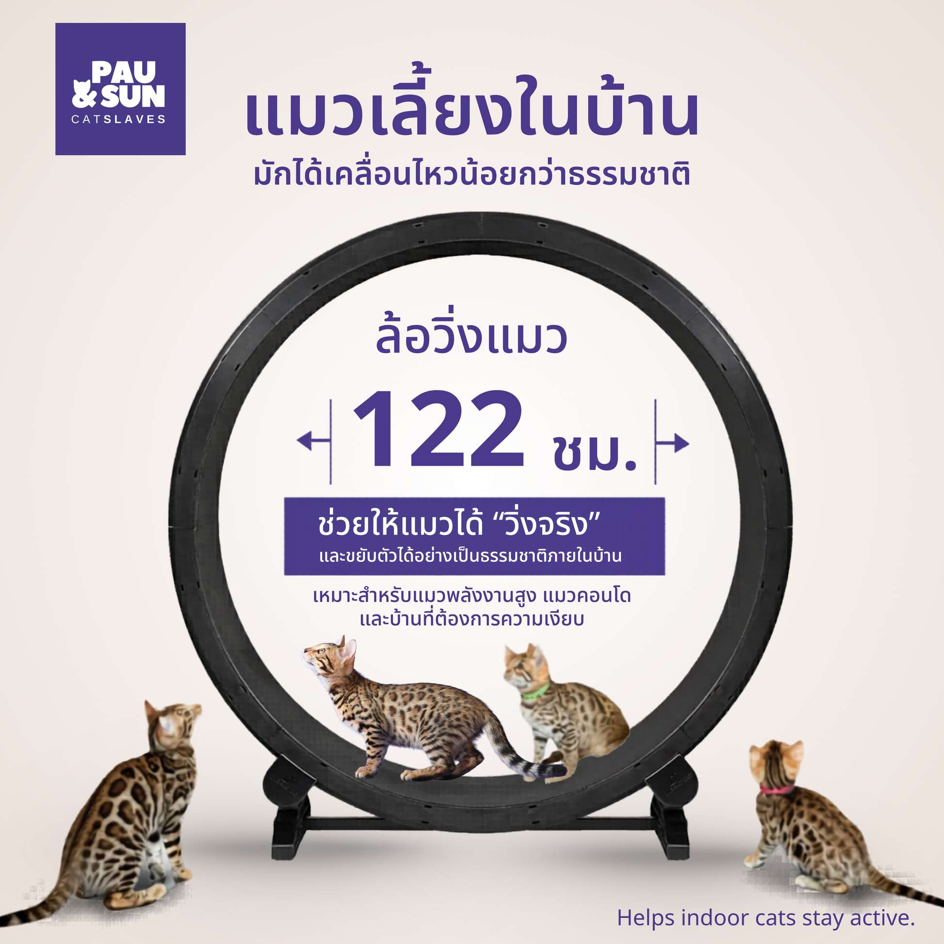 Cat exercise wheel size infographic — 122 cm diameter helps indoor cats stay active and move with a natural full stride | วงล้อแมว 122 ซม. ช่วยให้แมวเลี้ยงในบ้านเคลื่อนไหวได้ตามธรรมชาติ