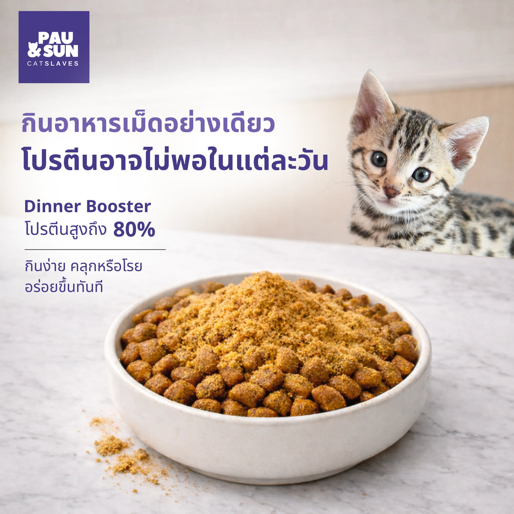 Dinner Booster powder on dry food with kitten watching | ผง Dinner Booster โรยบนอาหารเม็ด มีลูกแมวมอง