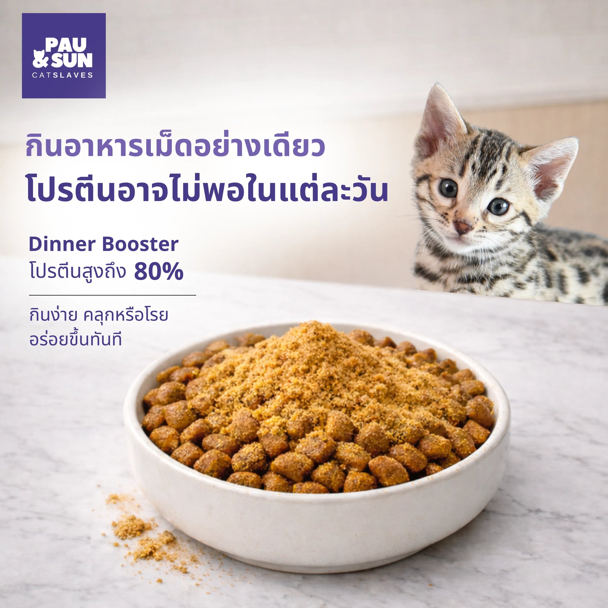 Dinner Booster powder on dry food with kitten watching | ผง Dinner Booster โรยบนอาหารเม็ด มีลูกแมวมอง