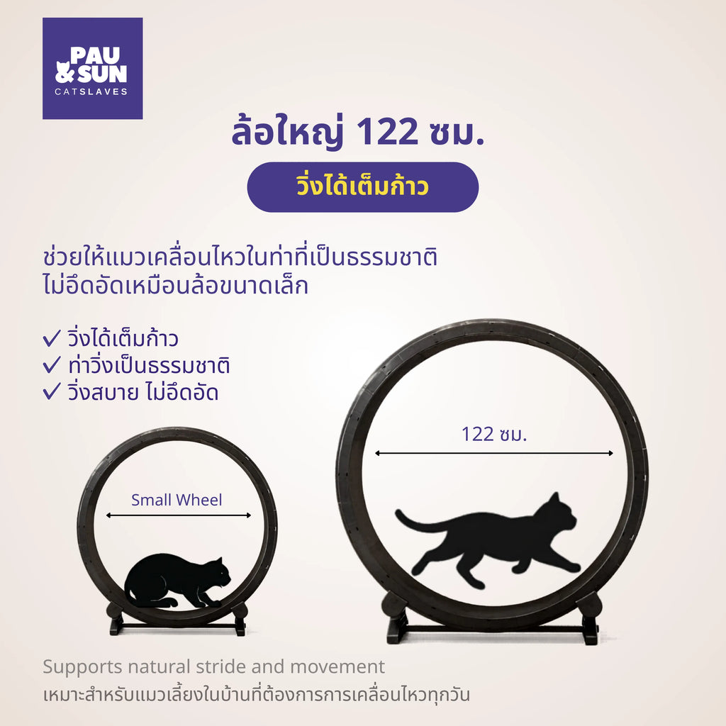 Size comparison of a small cat wheel against the 122cm wheel built for a full running stride | เปรียบเทียบขนาดล้อวิ่งแมวเล็กกับล้อขนาด 122 ซม. ที่วิ่งได้เต็มก้าว