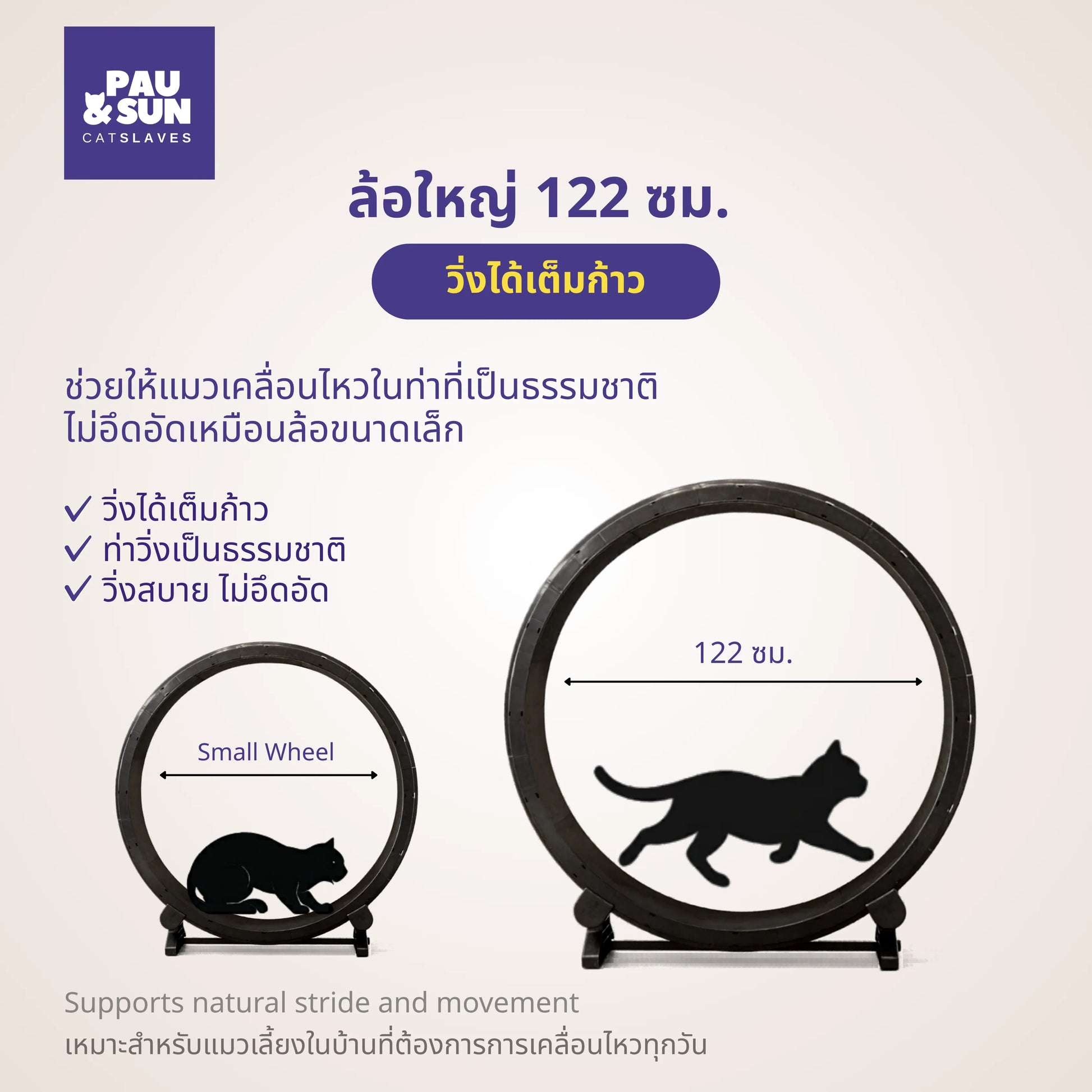 Size comparison of a small cat wheel against the 122cm wheel built for a full running stride | เปรียบเทียบขนาดล้อวิ่งแมวเล็กกับล้อขนาด 122 ซม. ที่วิ่งได้เต็มก้าว