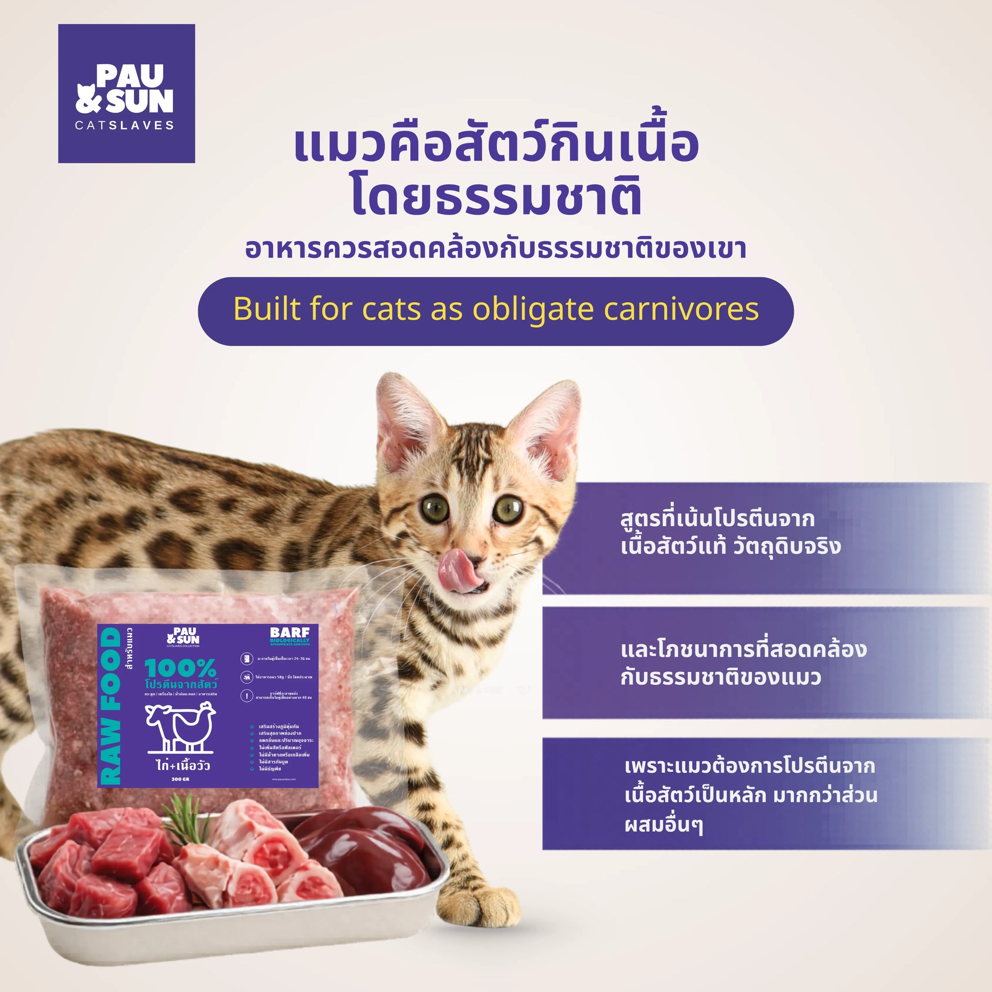 Bengal cat licking its lips beside a BARF pack and raw meat | แมวเบงกอลเลียปากข้างซองบาร์ฟและเนื้อดิบ