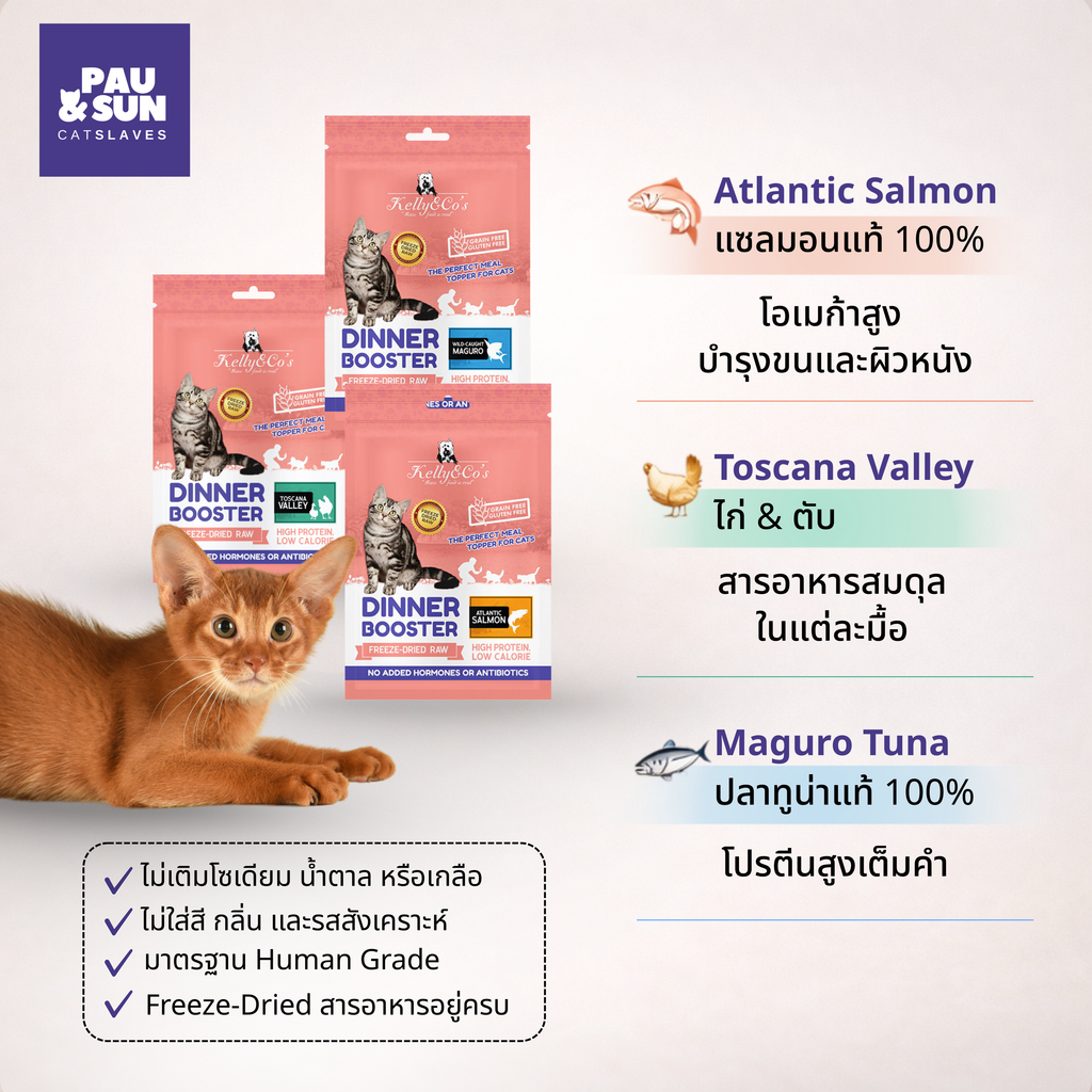 Kelly & Co Dinner Booster three flavours — Atlantic Salmon for coat support, Maguro Tuna for lean muscle, Toscana Valley chicken and organs for balanced nutrition | สามรสชาติ แซลมอน แมกูโร่ และ Toscana Valley เลือกตามความต้องการของแมว
