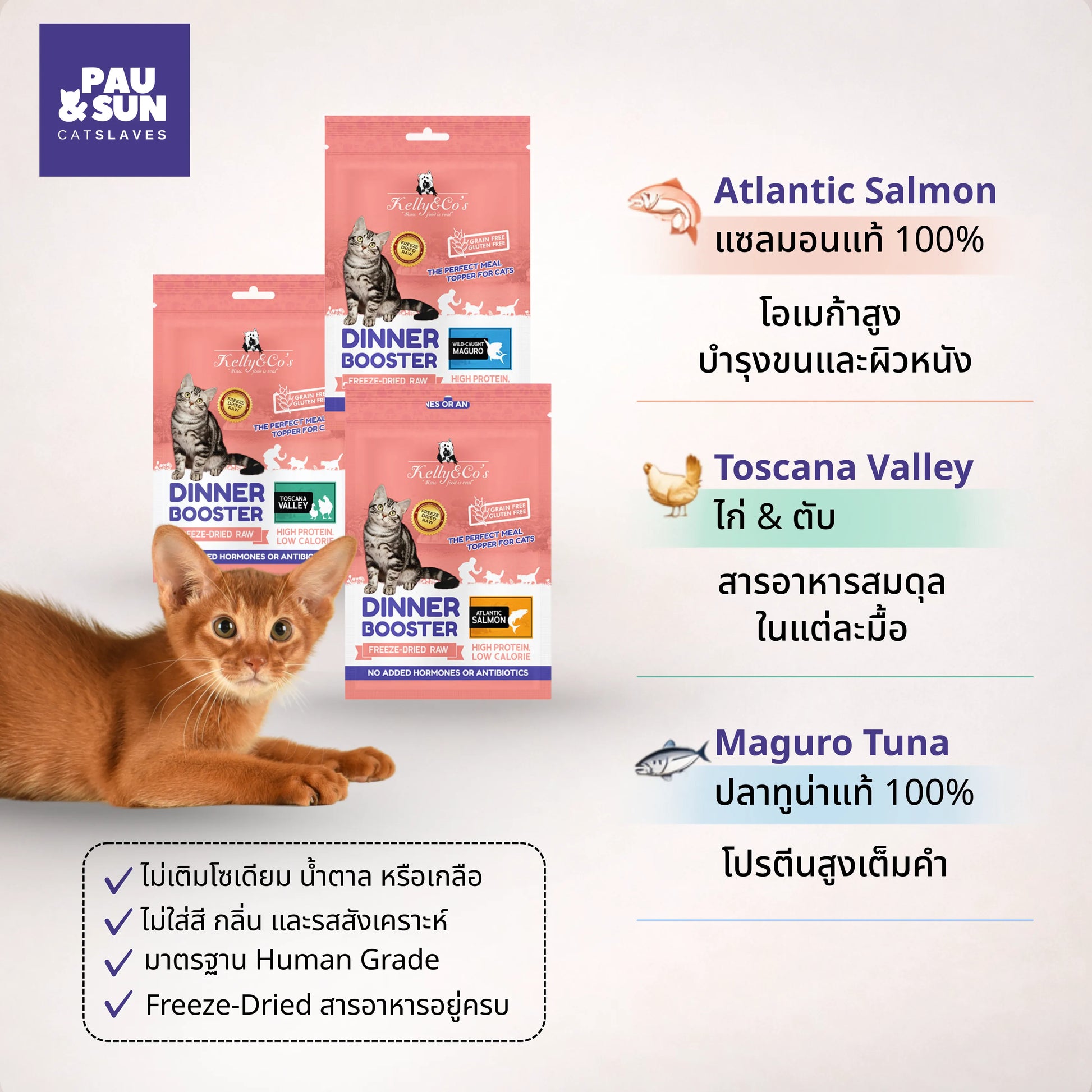 Three Dinner Booster flavours: salmon, chicken, tuna | Dinner Booster สามรสชาติ แซลมอน ไก่ ทูน่า