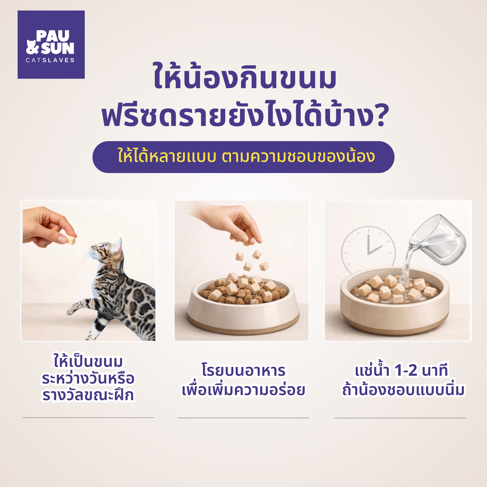 Kelly & Co freeze-dried raw treats feeding methods — give as training reward, sprinkle over food, or rehydrate with water for softer texture | ให้เป็นขนมฝึก โรยบนอาหาร หรือแช่น้ำ 1-2 นาทีถ้าแมวชอบแบบนุ่ม
