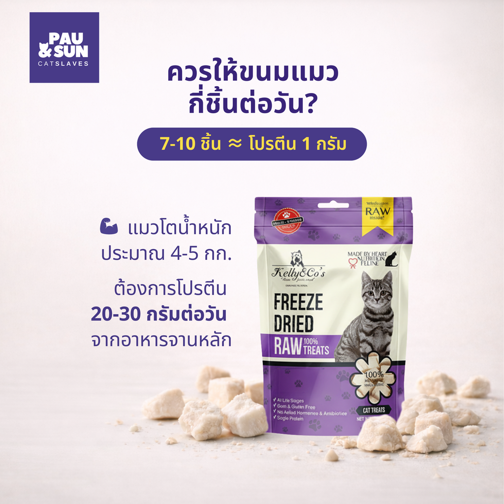 Kelly & Co freeze-dried treats protein guide — 7 to 10 pieces deliver approximately 1g of protein, adult cats need 20 to 30g of protein daily from their main diet | 7-10 ชิ้น ประมาณ 1 กรัมโปรตีน แมวโตน้ำหนัก 4-5 กก. ต้องการโปรตีน 20-30 กรัมต่อวัน
