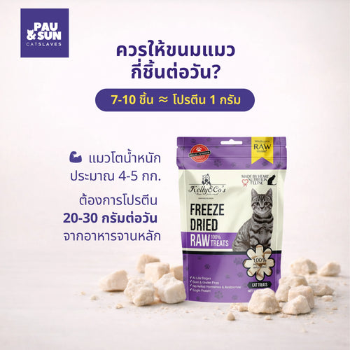 Chicken breast treat bag surrounded by loose freeze dried cubes | ถุงขนมรสอกไก่ล้อมรอบด้วยชิ้นขนมฟรีซดราย