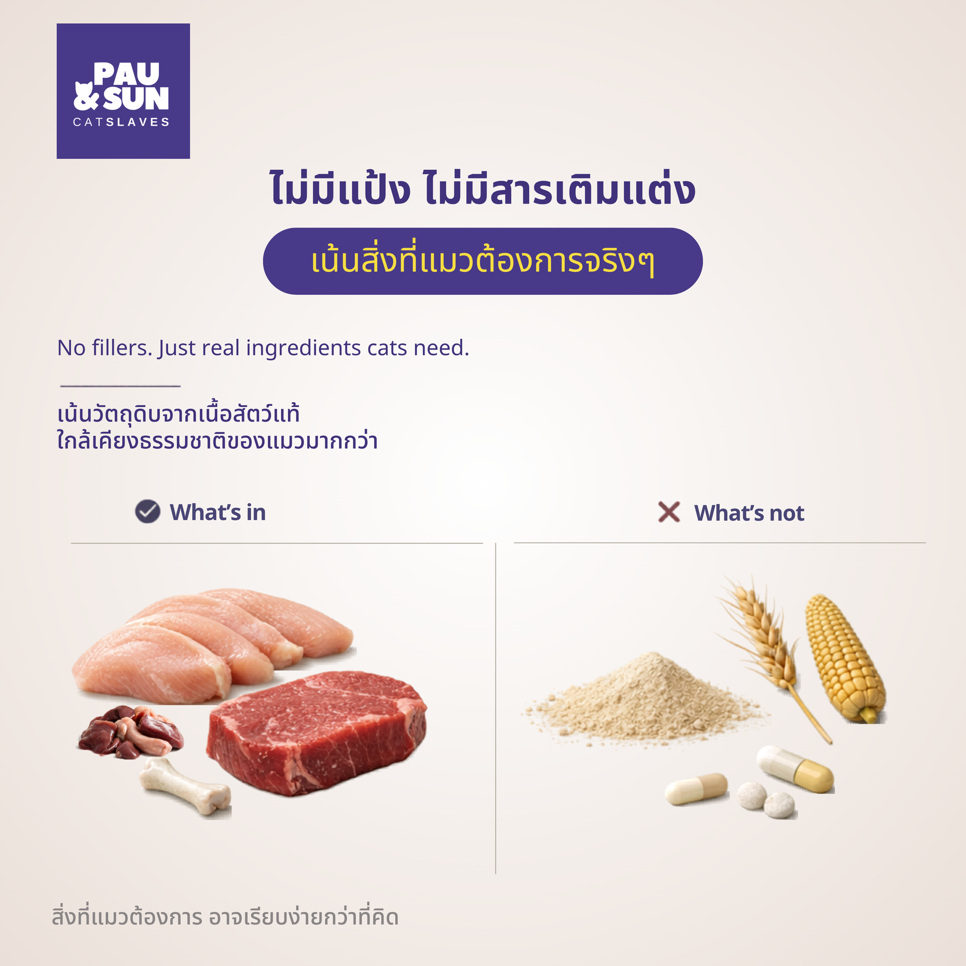 CatSlaves BARF raw cat food — what is in it: real chicken, beef, bones and offals. What is not: no grain, no starch, no fillers, no unnecessary additives | สิ่งที่มี เนื้อสัตว์แท้ กระดูก เครื่องใน สิ่งที่ไม่มี ไม่มีแป้ง ธัญพืช สารตัวเติม หรือสารสังเคราะห์ที่ไม่จำเป็น
