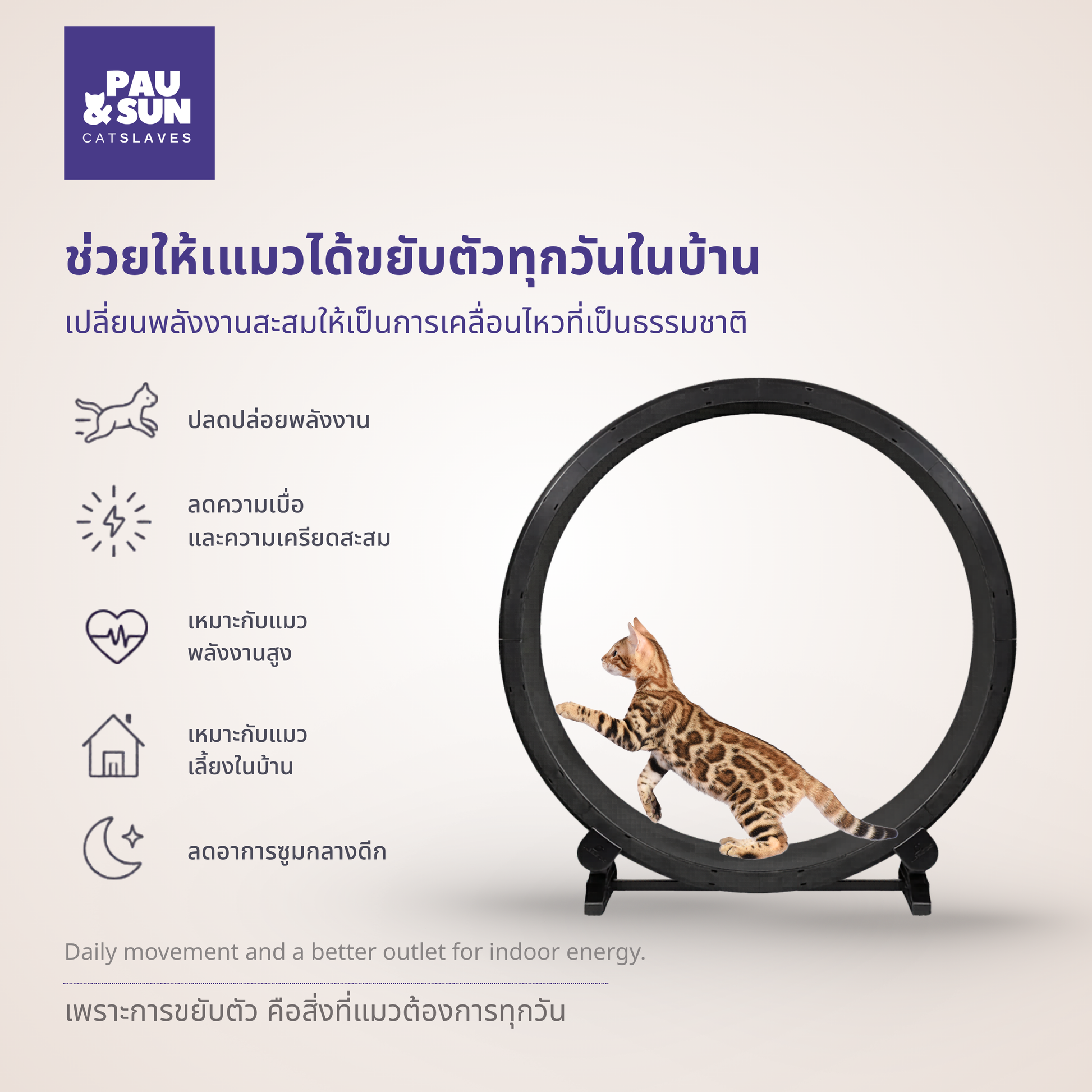 CatSlaves cat wheel benefits — releases energy, reduces boredom and stress, supports high-energy and indoor cats, reduces nighttime zoomies | ปลดปล่อยพลังงาน ลดความเบื่อ เหมาะแมวพลังสูง ลดซูมีส์กลางดึก