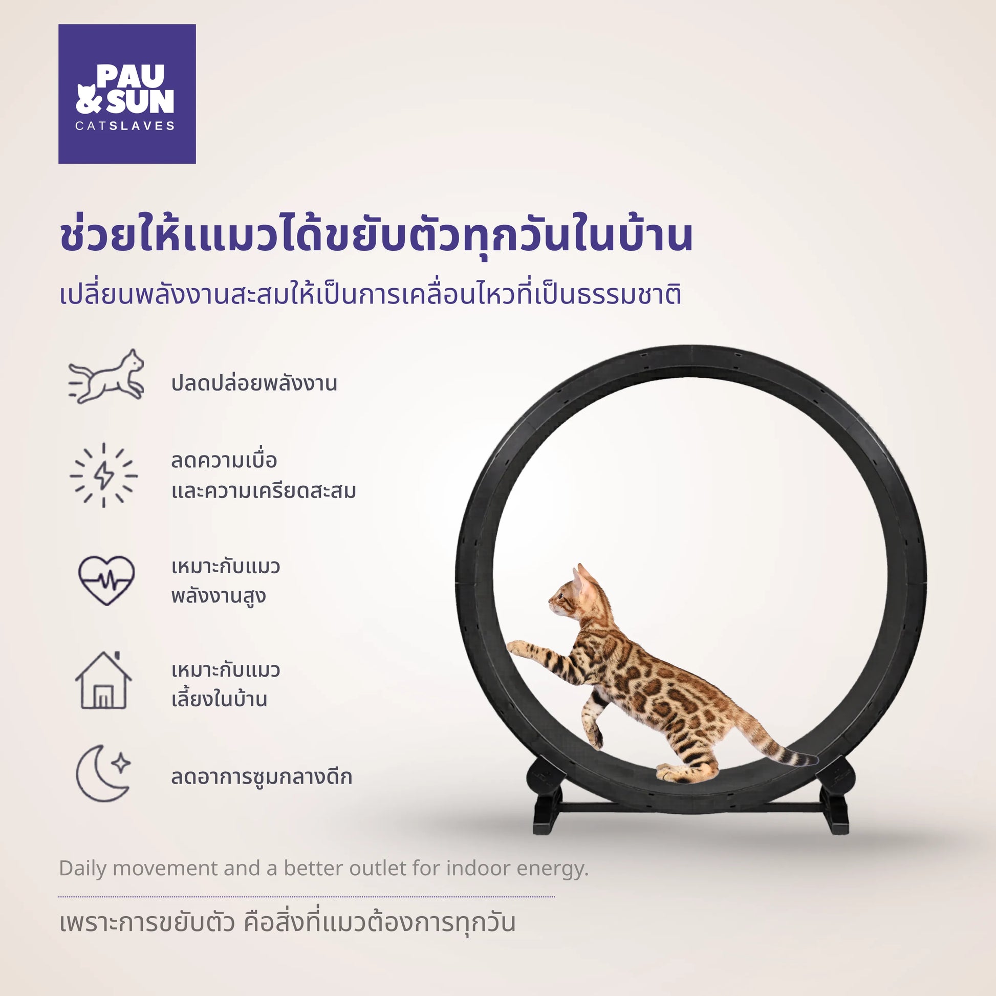 Bengal cat running in the wheel beside icons for energy release, less boredom, and daily indoor movement | แมวเบงกอลวิ่งในล้อพร้อมไอคอนแสดงประโยชน์ด้านการปลดปล่อยพลังงานและลดความเบื่อ