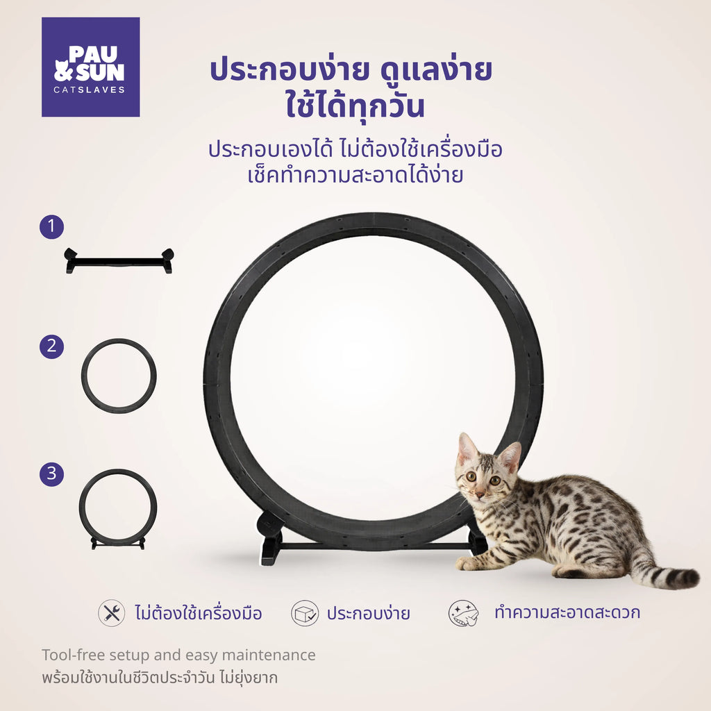 Tool free assembly steps for the cat exercise wheel beside a kitten and the finished frame | ขั้นตอนการประกอบล้อวิ่งแมวแบบไม่ใช้เครื่องมือ พร้อมลูกแมวข้างโครงที่ประกอบเสร็จ