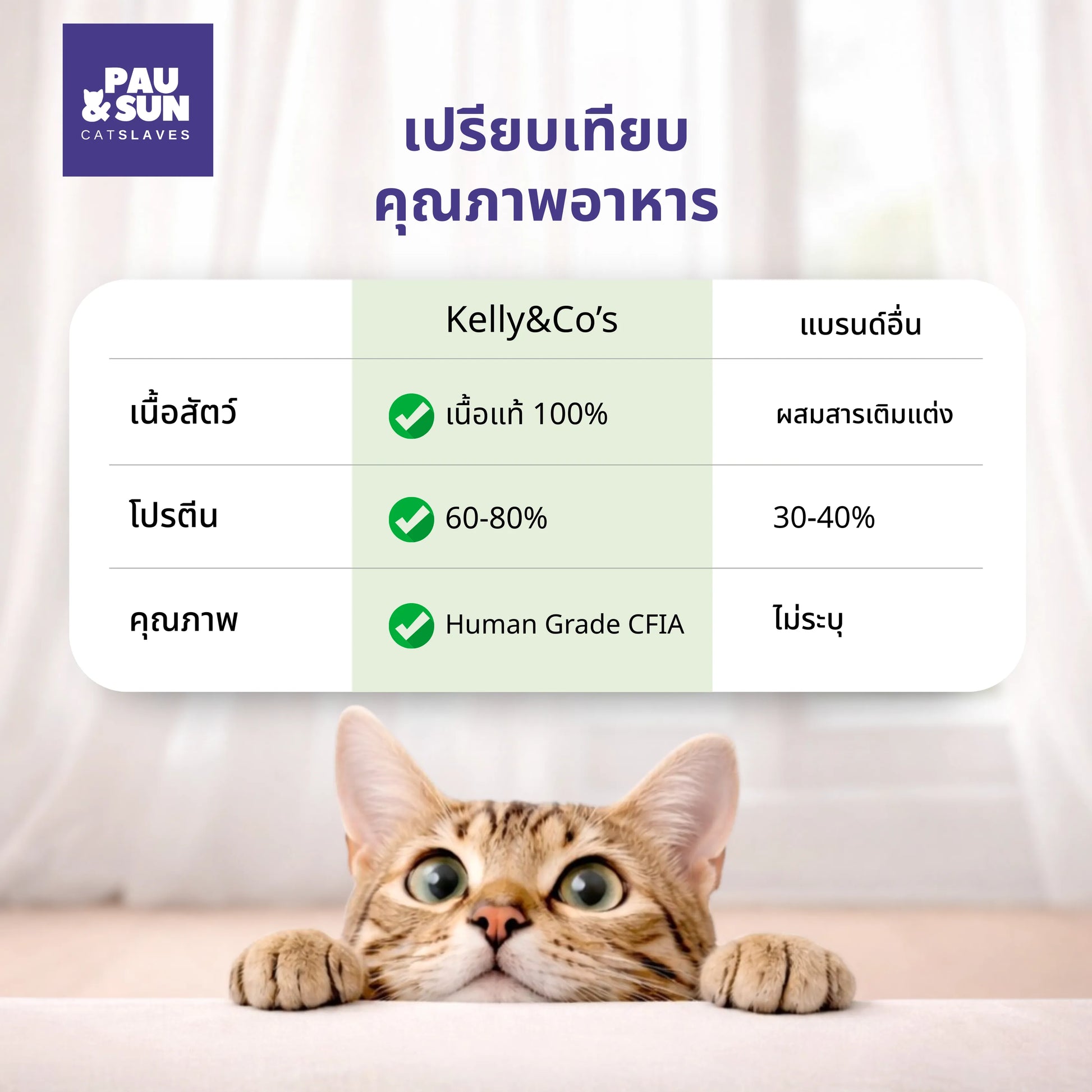 Dinner Booster protein compared to other cat food brands | เปรียบเทียบโปรตีน Dinner Booster กับแบรนด์อื่น