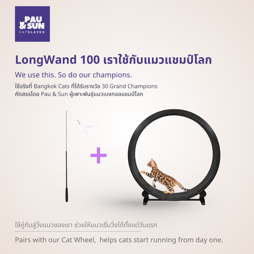 LongWand100 - Pau & Sun