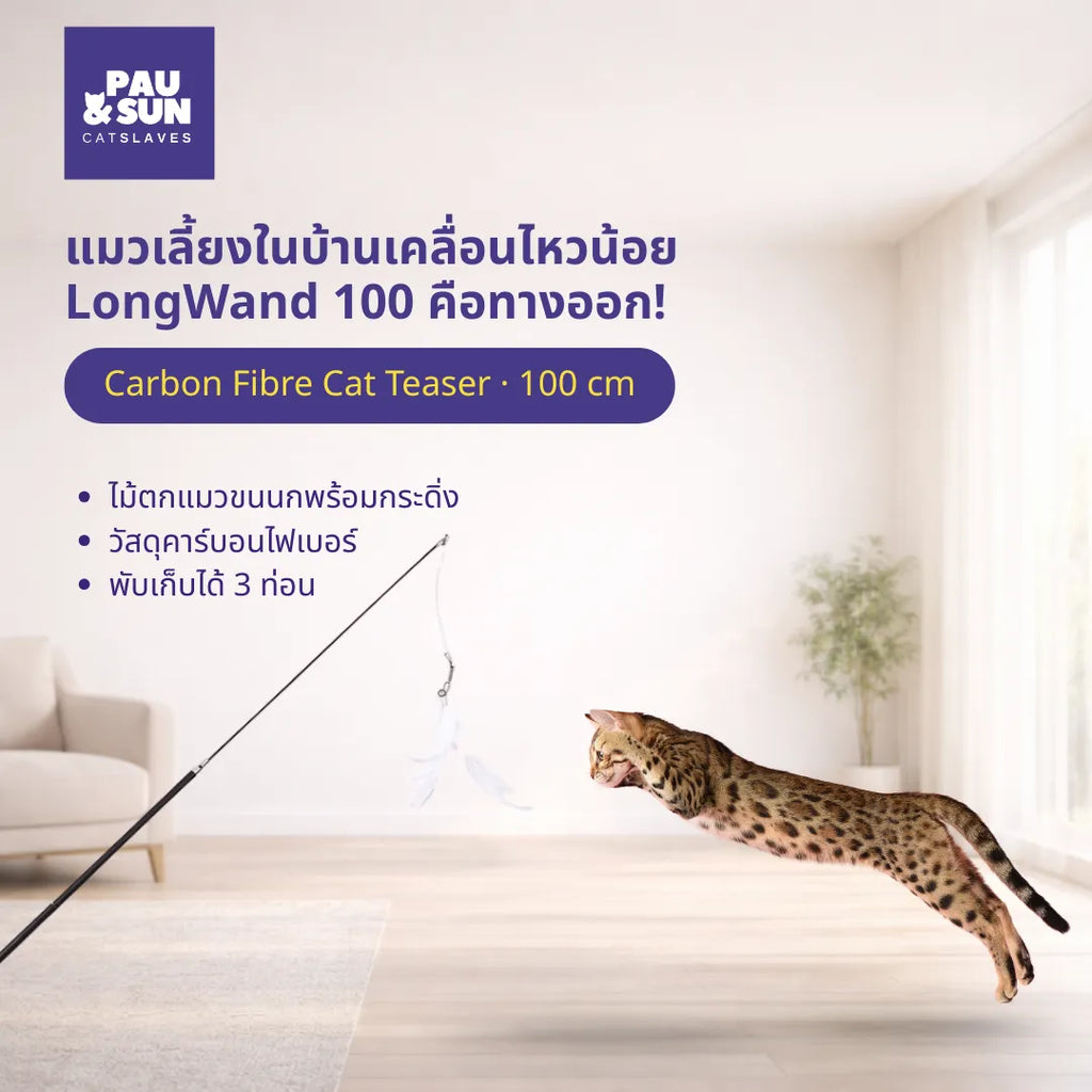 Bengal cat leaping to catch the CatSlaves LongWand 100cm carbon fibre feather teaser at home | แมวเบงกอลกระโดดคว้าไม้ตกแมวขนนก LongWand คาร์บอนไฟเบอร์ยาว 100 ซม. จาก CatSlaves ในบ้าน